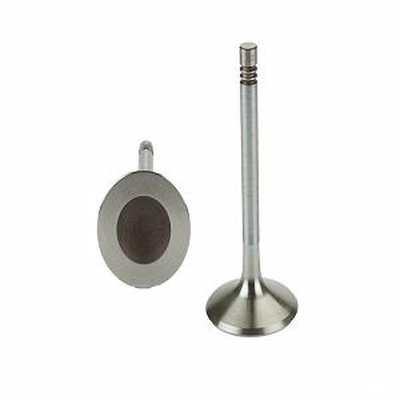 Intake Valve by ELGIN - I2860M gen/ELGIN/Intake Valve/Intake Valve_01
